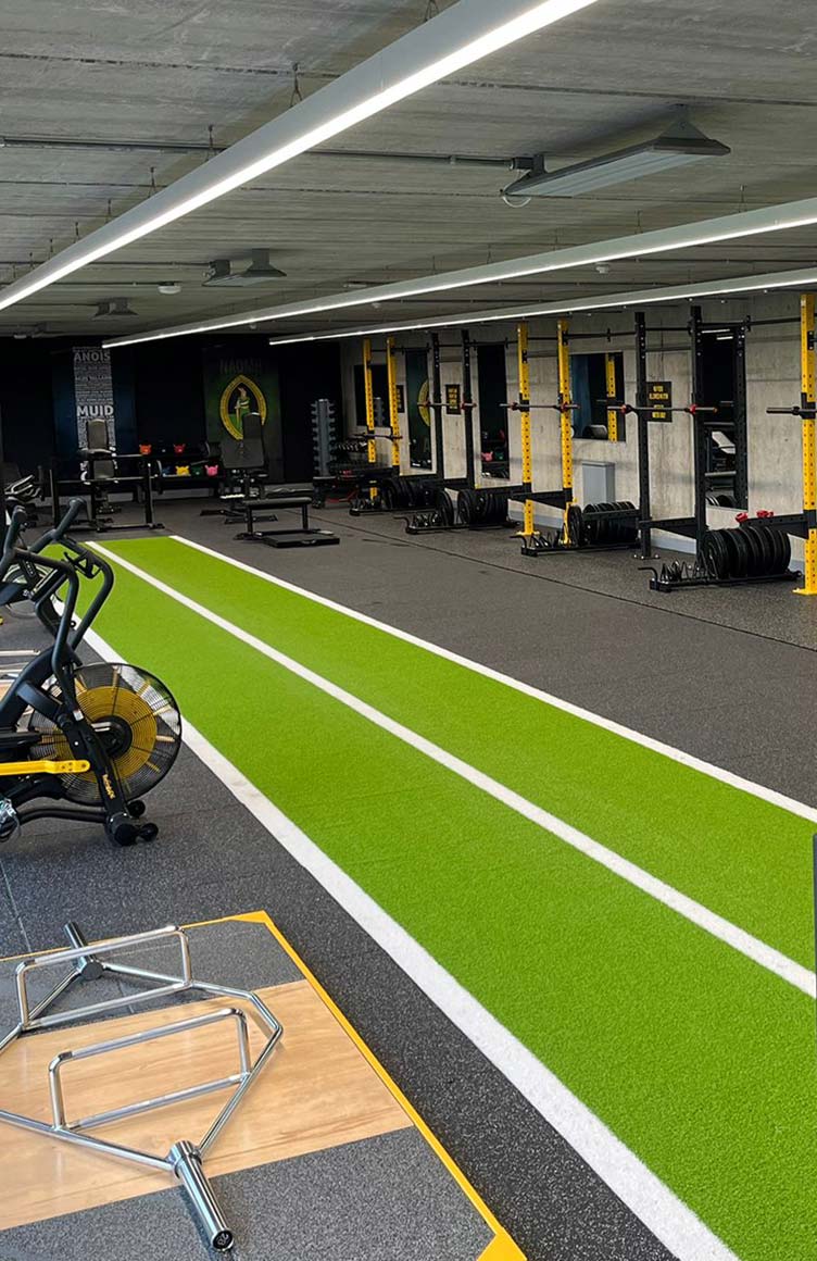 Swiss Home Hero Mobile